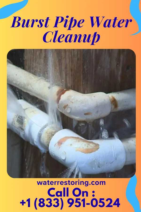 Burst Pipe Water Cleanup in Gallaway, TN