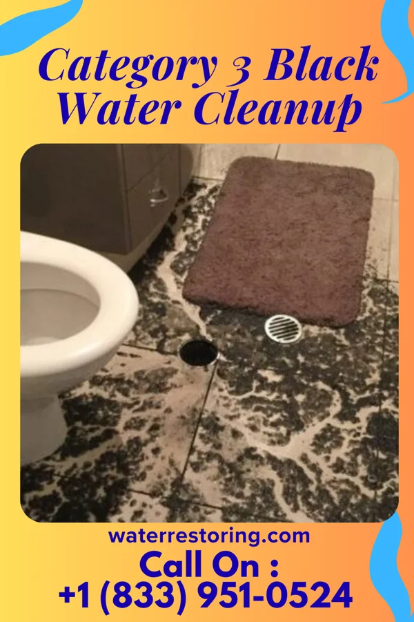 Category 3 Black Water Cleanup in Gallaway, TN