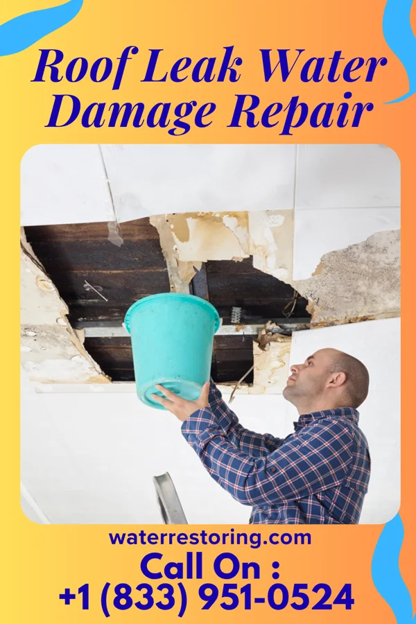 Roof Leak Water Damage Repair in Gallaway, TN