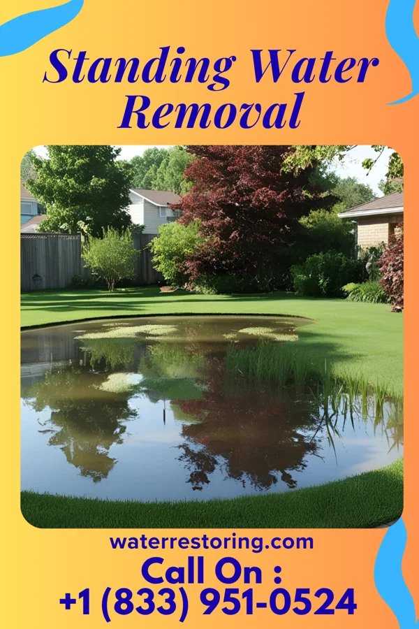 Standing Water Removal in Gallaway, TN